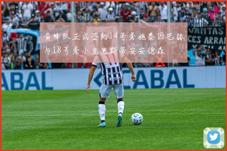 黄蜂队正式签约14号秀施泰因巴赫与18号秀小克里斯蒂安安德森