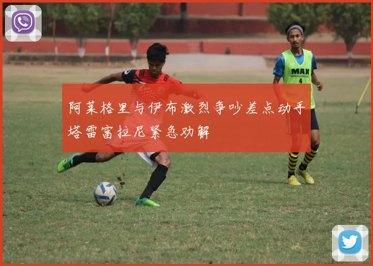 阿莱格里与伊布激烈争吵差点动手塔雷富拉尼紧急劝解